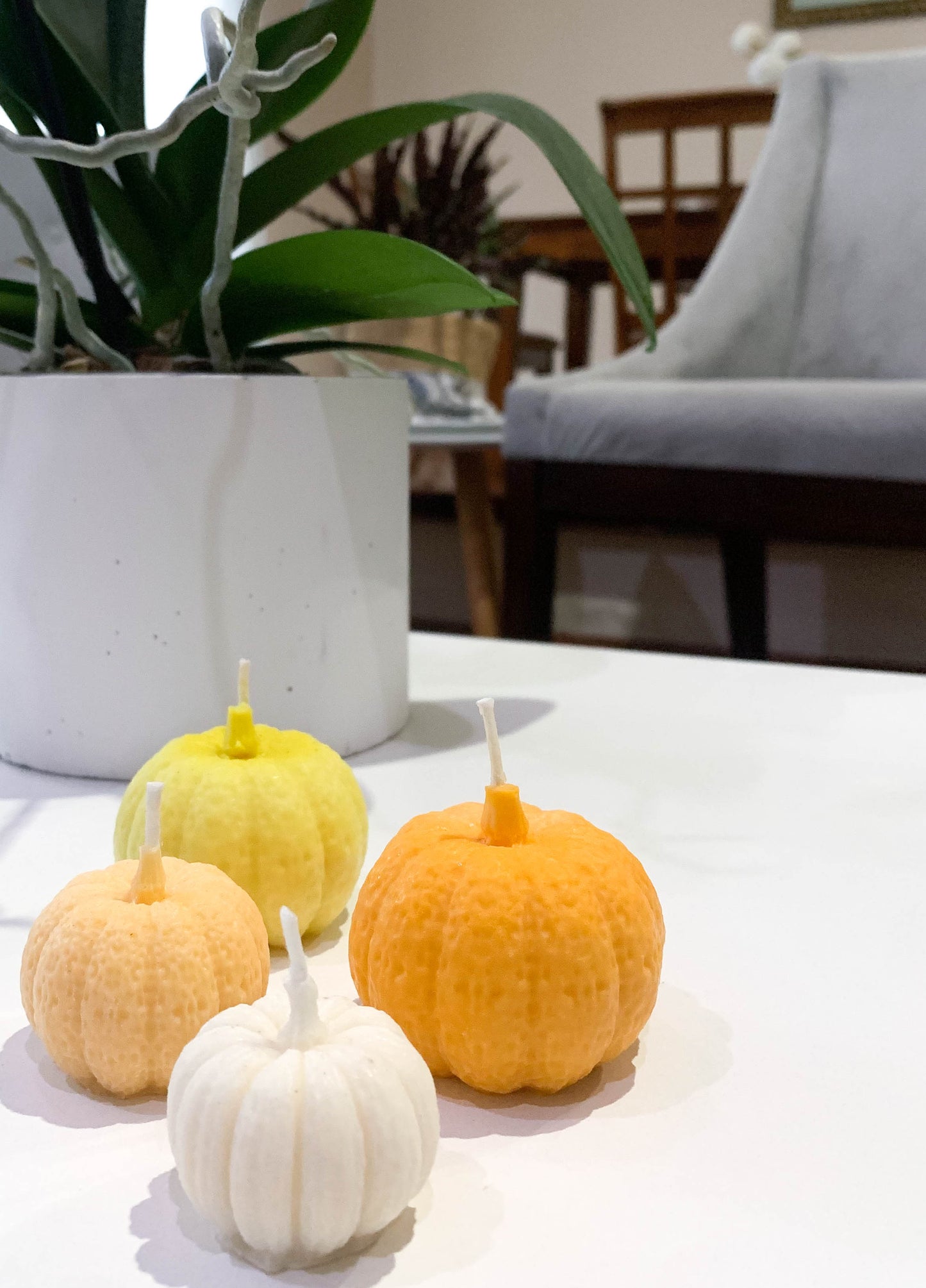PUMPKIN LOVER CANDLES!