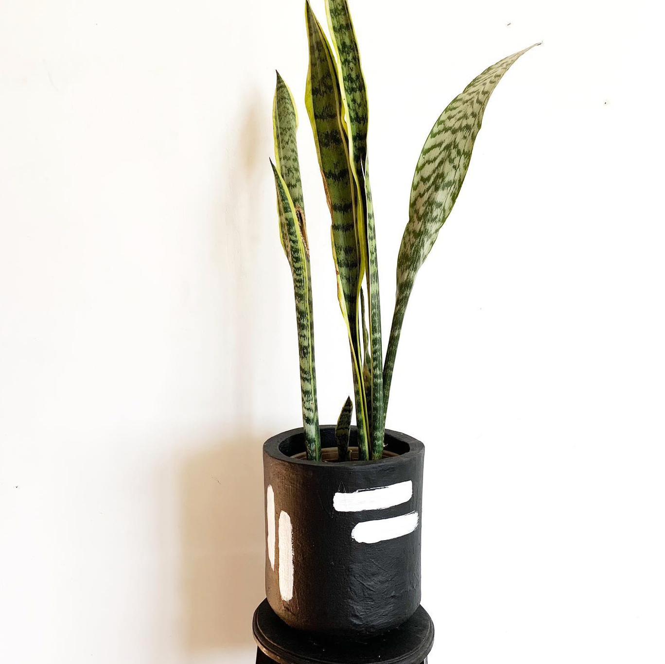 TRIBAL POT