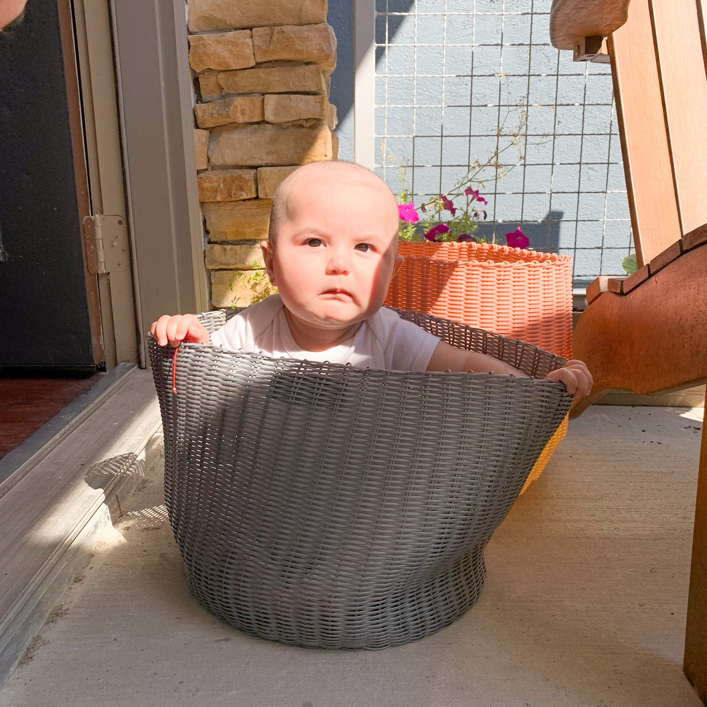 BASKET POT