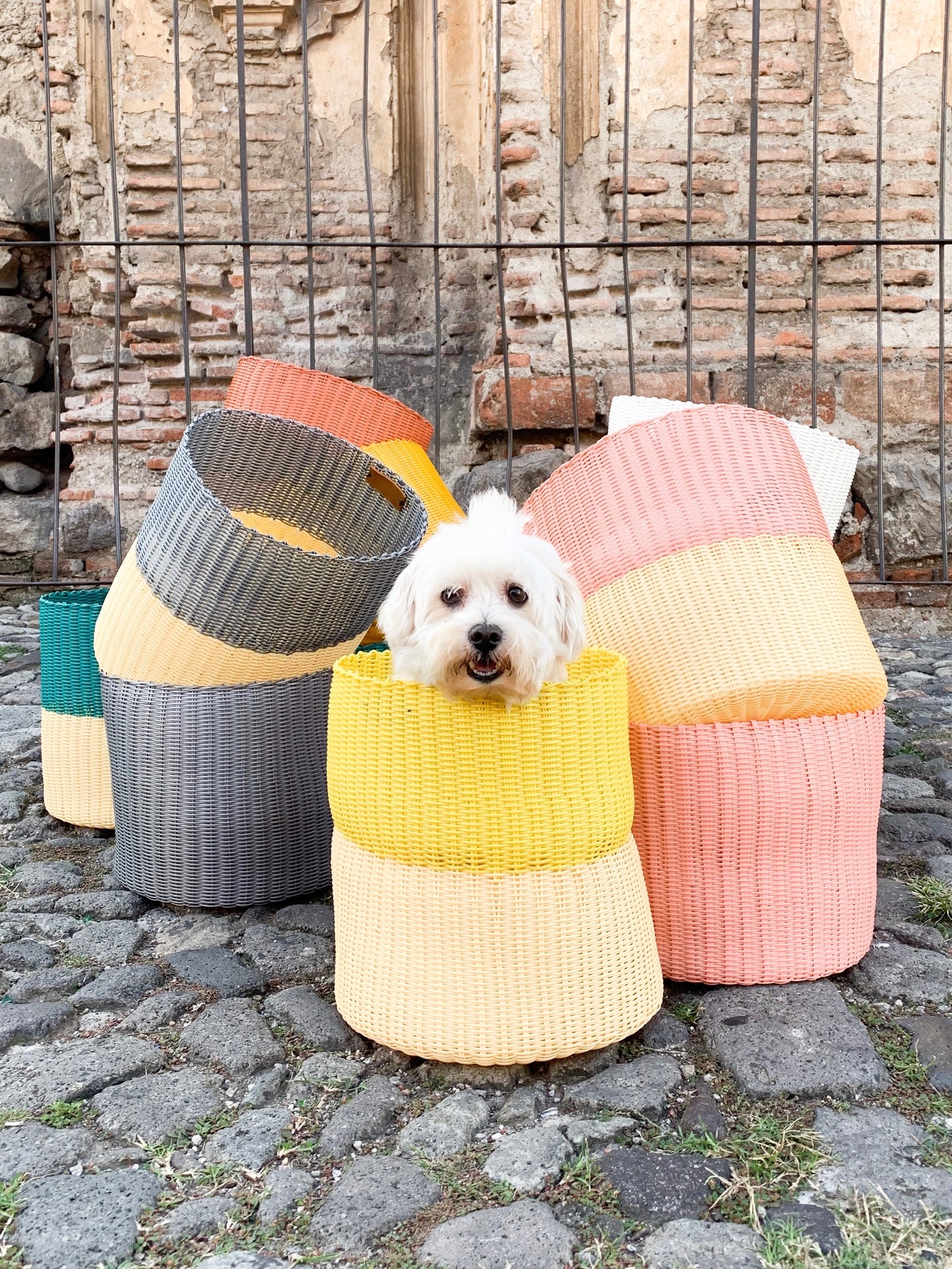 BASKET POT