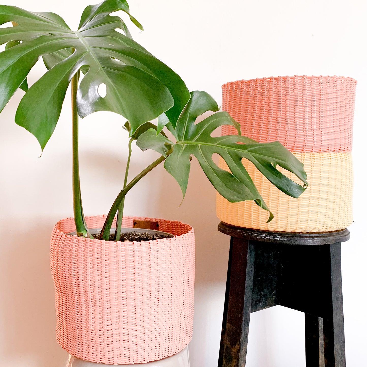 BASKET POT