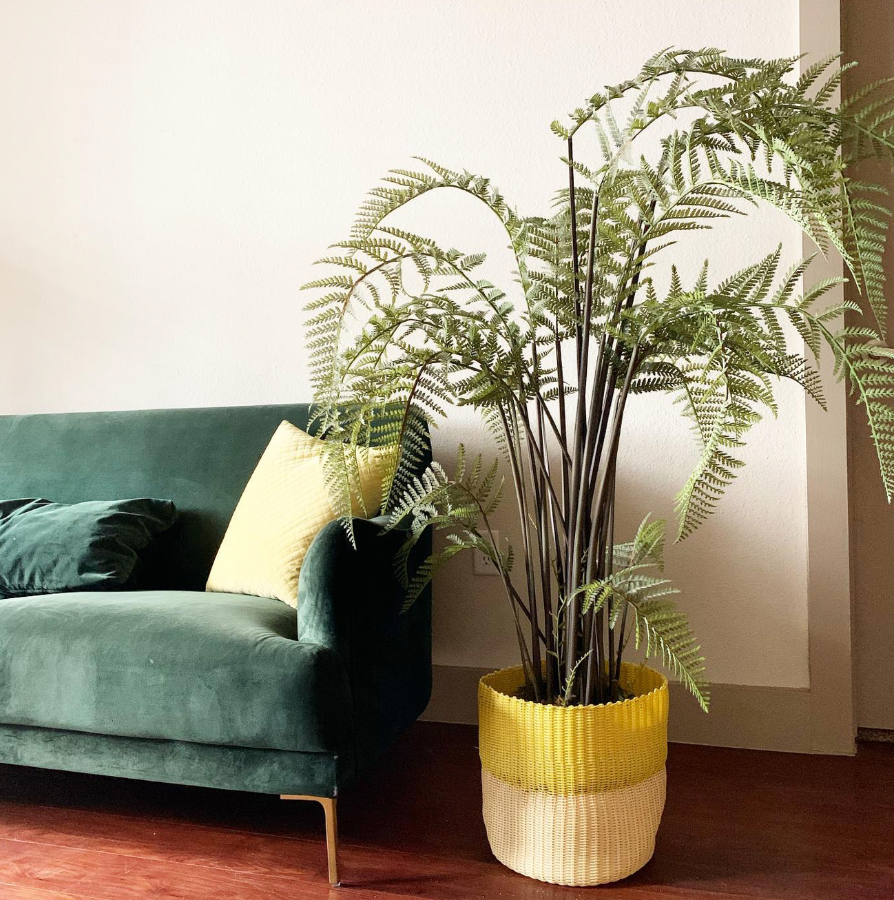 BASKET POT