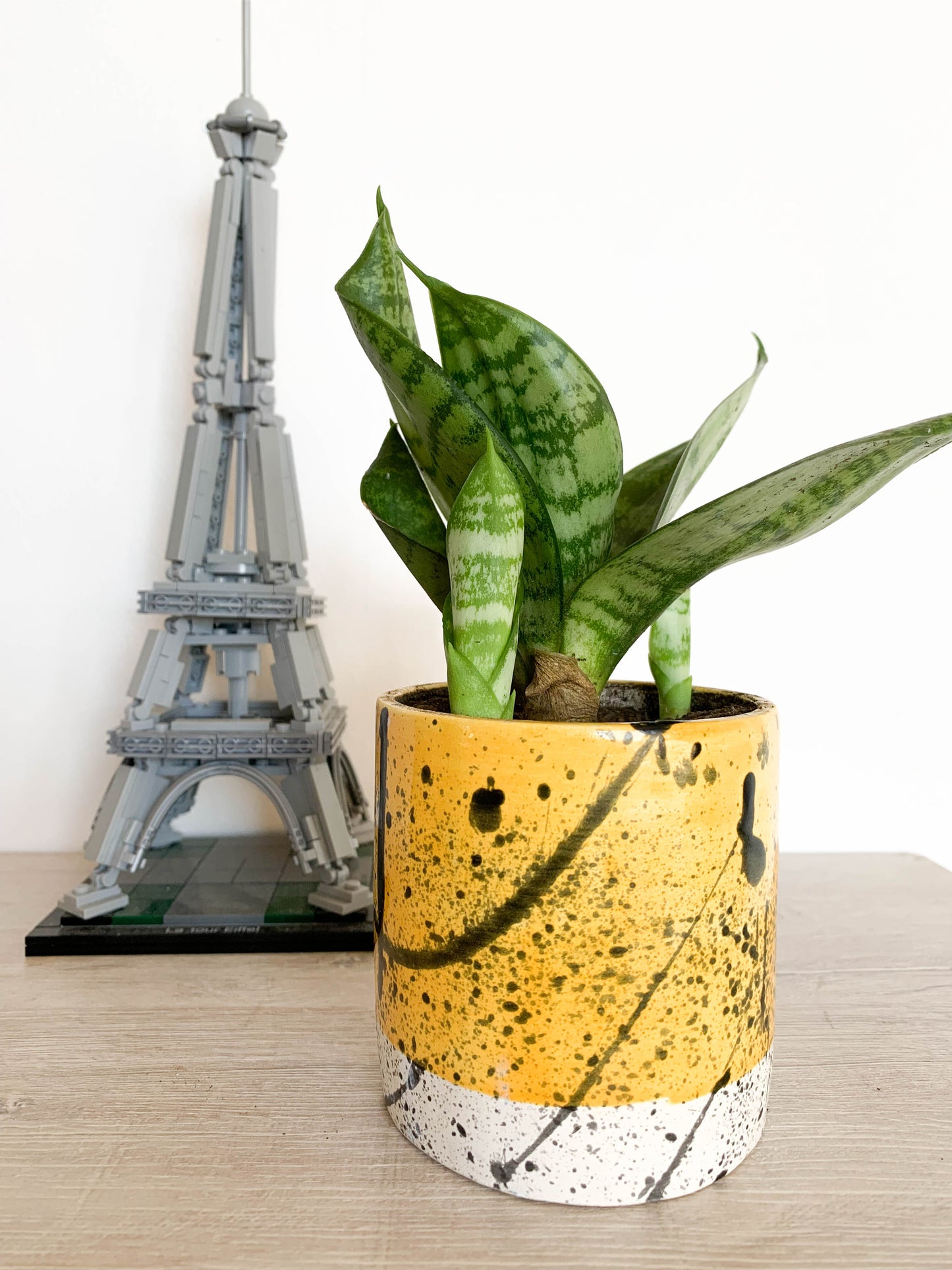 CANVAS POT