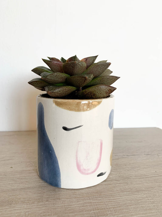 CANVAS POT